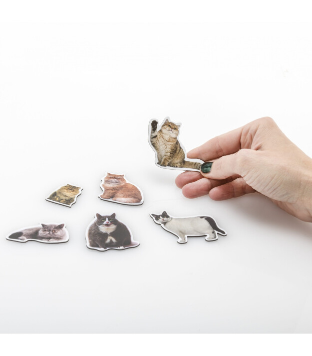 Mustard Magnet Set // Cat