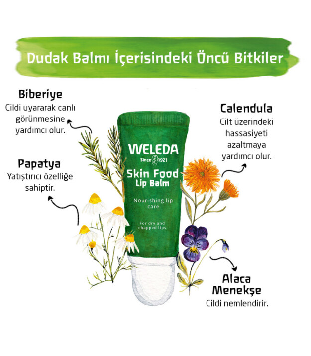 Weleda Skin Food Organik Besleyici Dudak Balmı